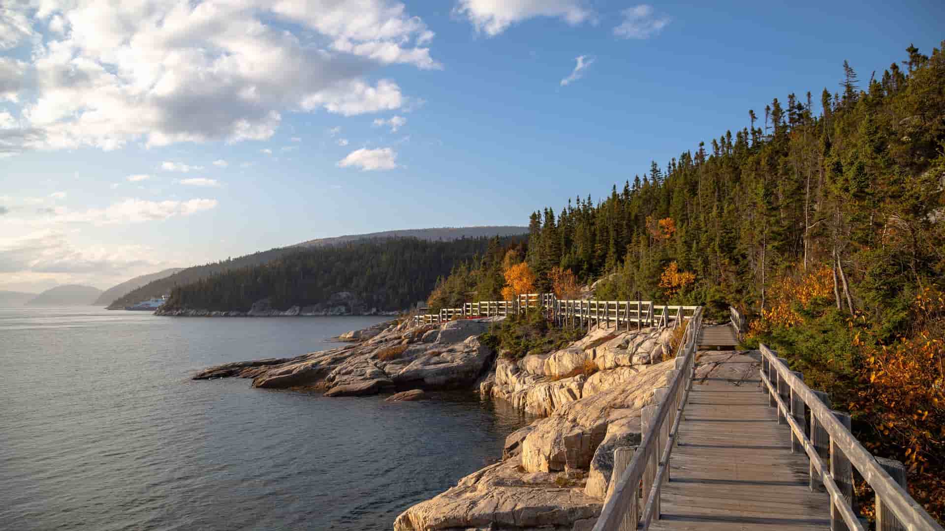 A beautiful coastal scene in Indian Harbour, Newfoundland, with a wooden boardwalk hugging the rocky shoreline, leading into a dense forest with hints of autumn foliage.