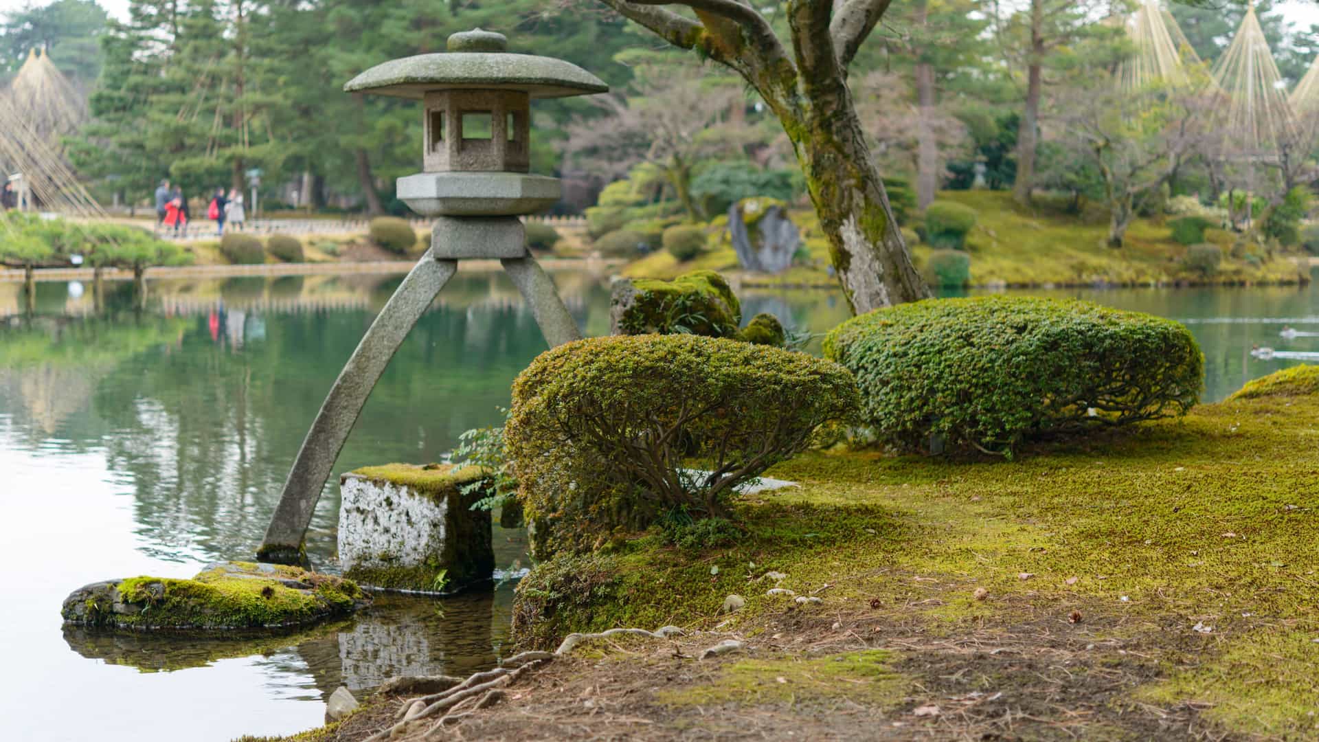 A beautiful view of the historic Kenrokuen Garden in Kanazawa, Japan, featuring the iconic Kotoji-toro lantern on the edge of a pond with lush green moss and manicured bushes.