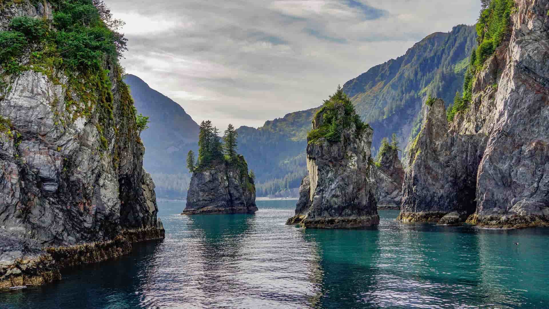 A scenic view of Kenai Fjords National Park, Alaska, showing dramatic sea stacks and towering, tree-covered cliffs rising from the calm, emerald-green water.