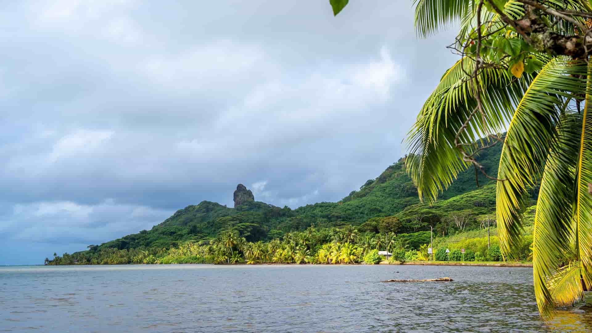 A serene tropical beach with palm trees and lush green hills, with a distinctive rock formation in the distance, a common sight near Marmaris, Turkey.