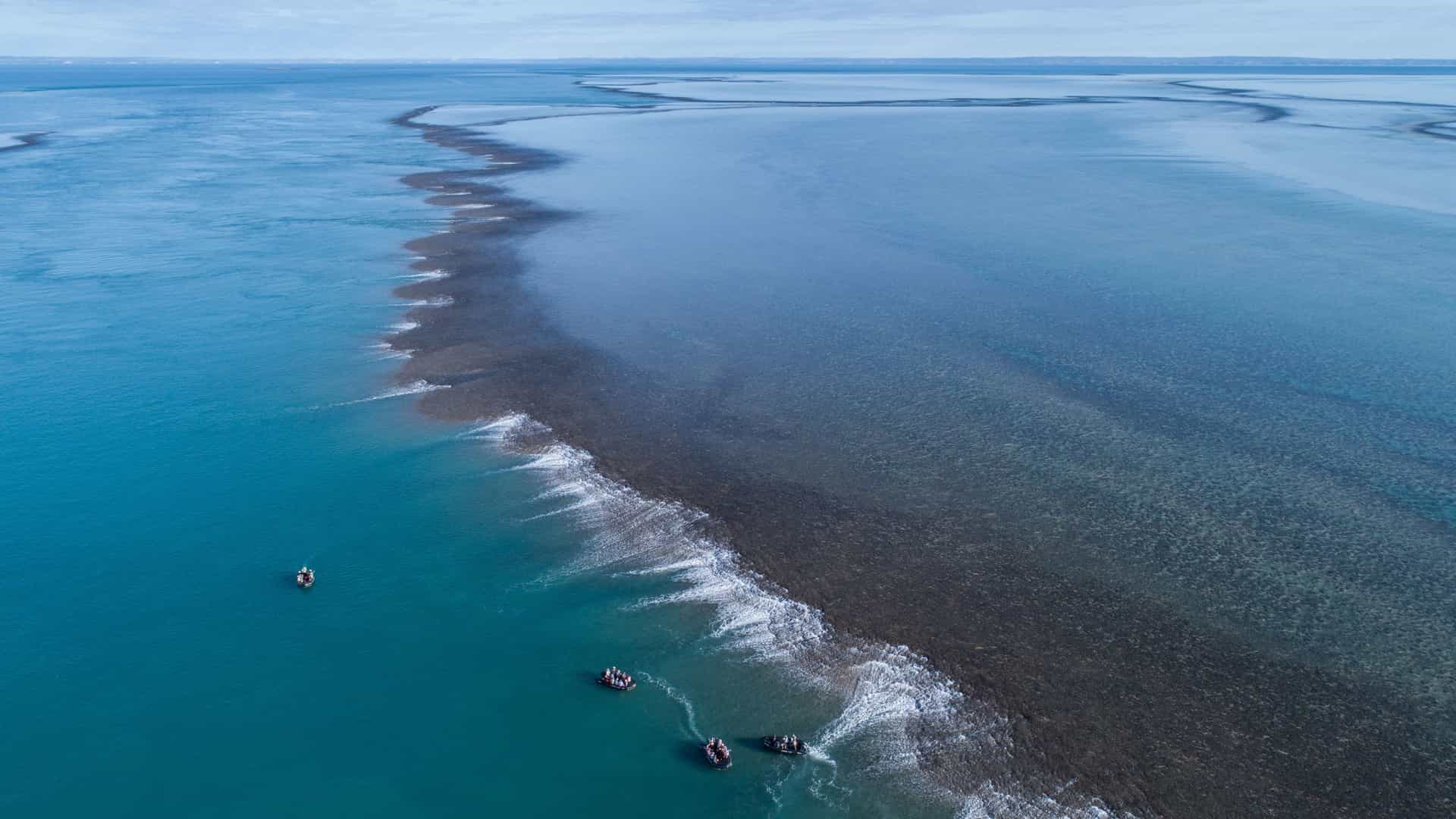 An aerial view of Montgomery Reef, Australia, showing the dramatic tidal ebb with a massive wall of cascading water flowing over the exposed coral reef and into the deep blue ocean.