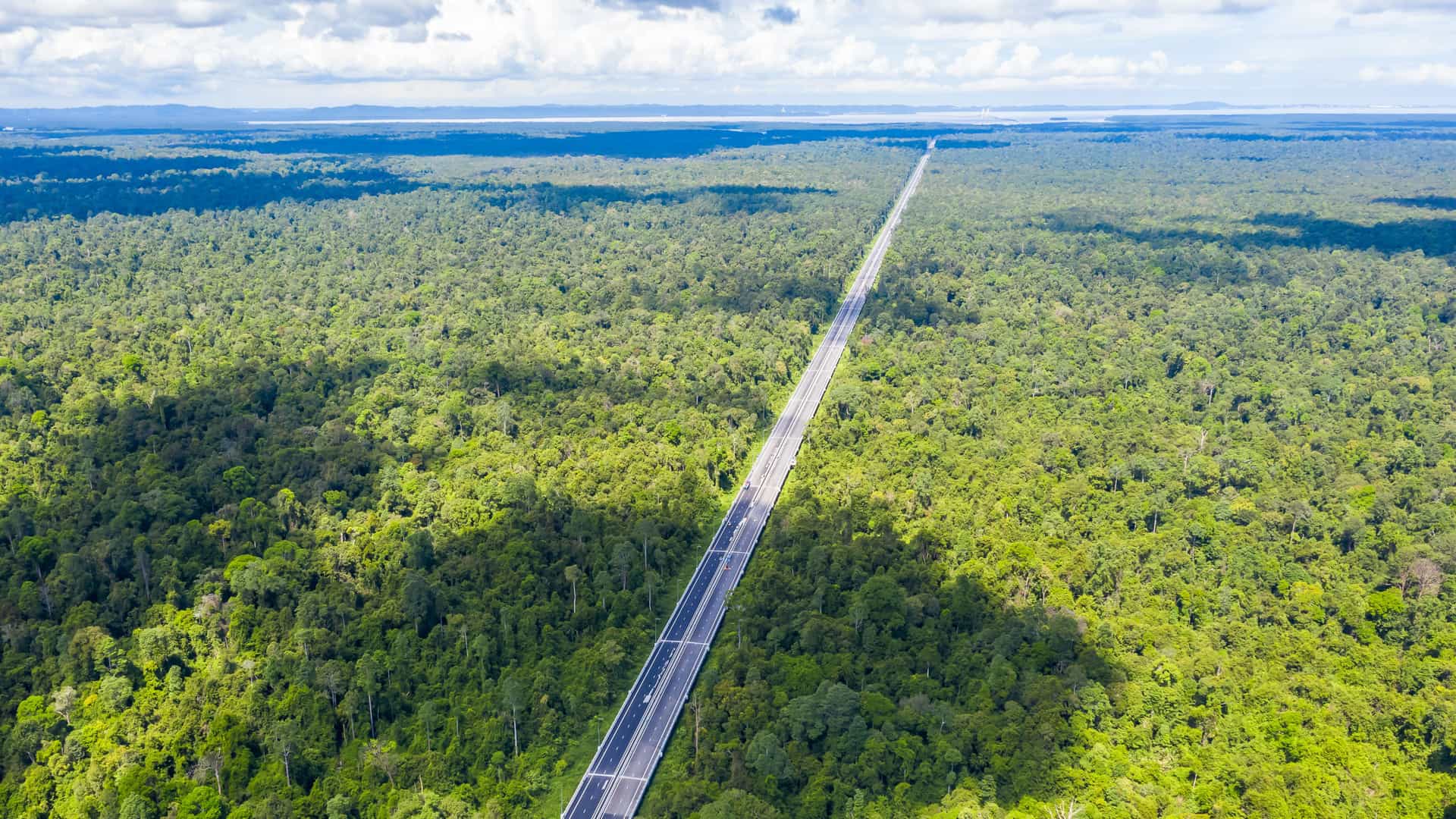 "An aerial view of the Sultan Haji Omar 'Ali Saifuddien Bridge in Muara, Brunei, a straight, long highway cutting through a dense green forest with a cloudy sky overhead. "