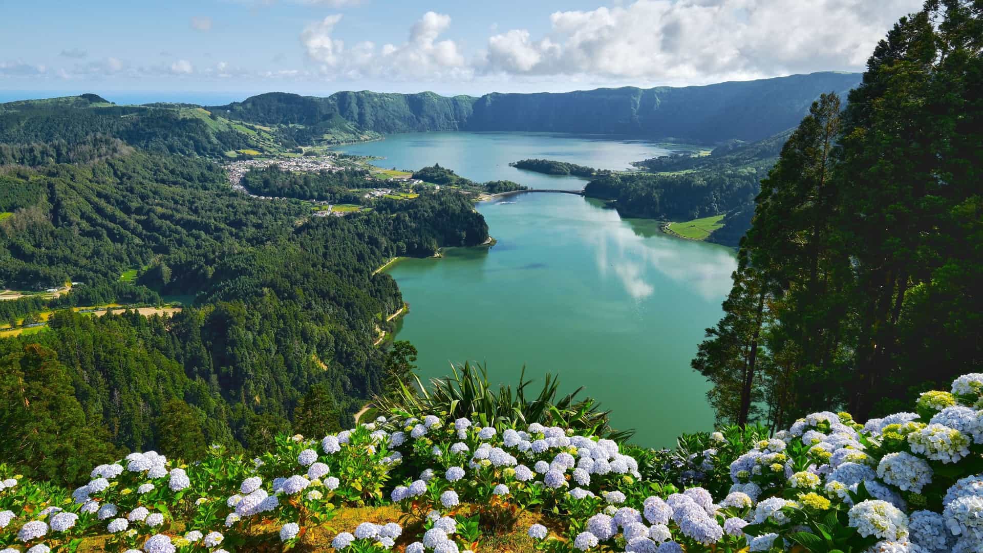 A scenic view of the twin lakes, Lagoa das Sete Cidades, on São Miguel Island in the Azores, with vibrant green vegetation and hydrangeas in the foreground and a small village and bridge in the distance.