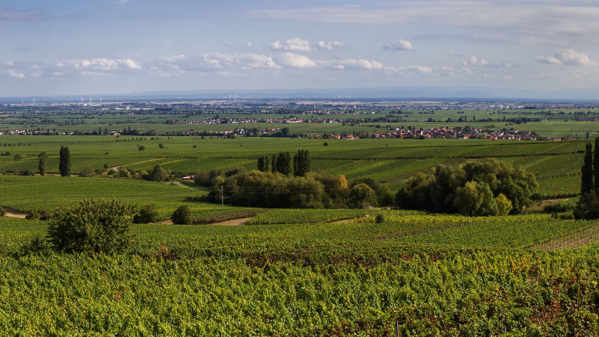 A vast landscape of lush green vineyards and farmland near Roth, Germany, with a small village and windmills visible in the distance under a blue sky with scattered clouds.