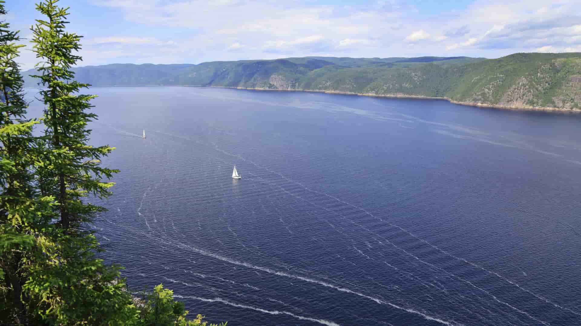A vast, deep blue Saguenay Fjord with a few sailboats, framed by lush green forested hills and pine trees under a partly cloudy sky in Quebec, Canada.