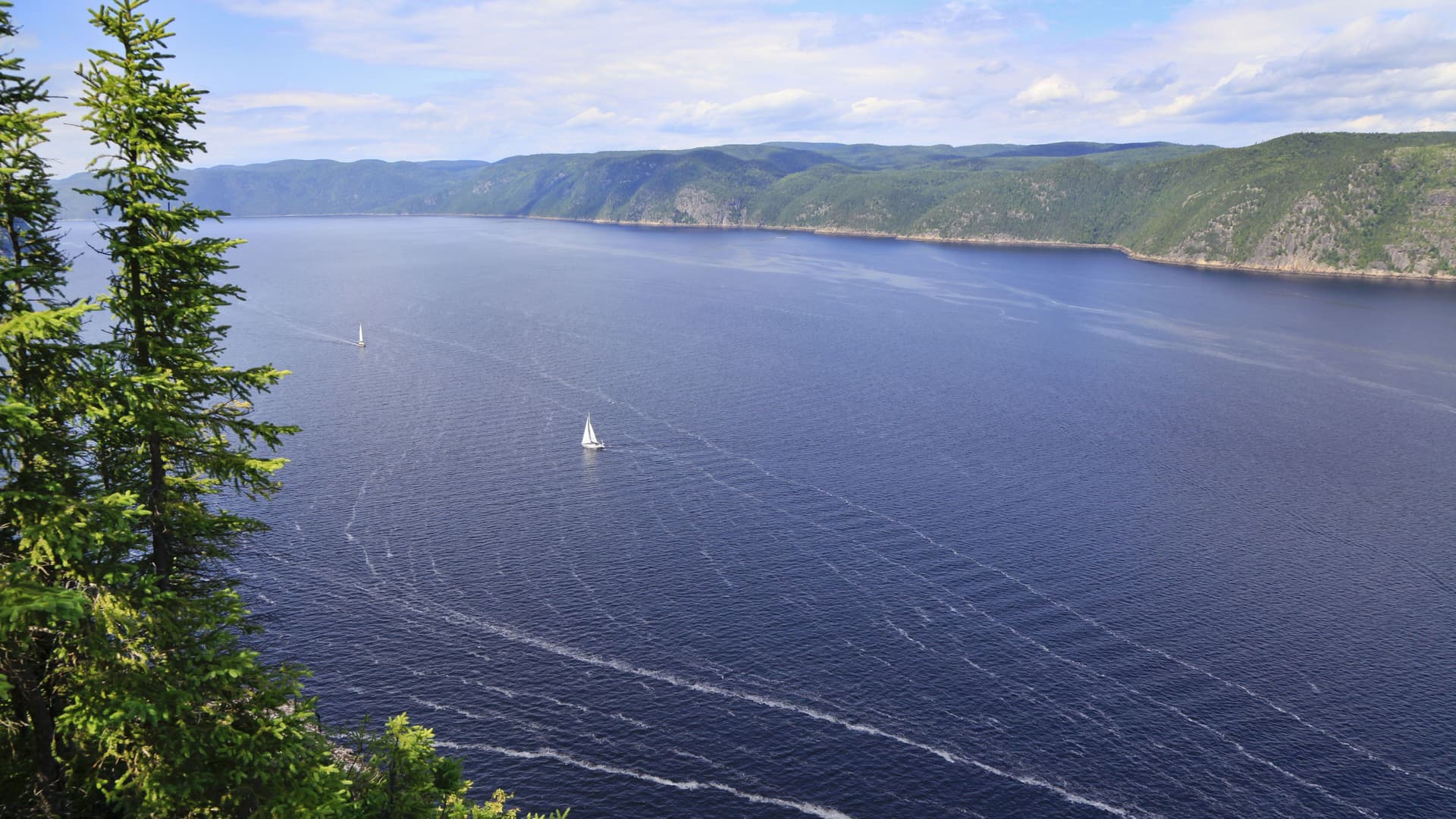A vast, deep blue Saguenay Fjord with a few sailboats, framed by lush green forested hills and pine trees under a partly cloudy sky in Quebec, Canada.