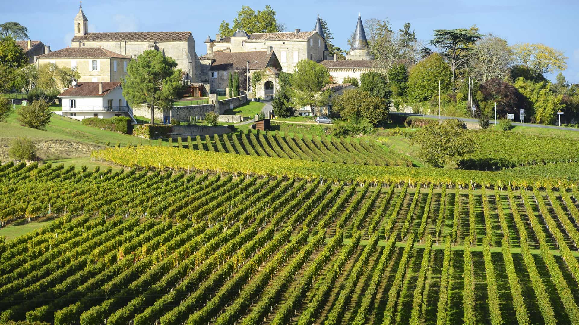A scenic landscape of the UNESCO World Heritage site of Saint-Émilion, France, featuring sprawling vineyards in the foreground and a historic village with traditional stone houses on a hill in the background.