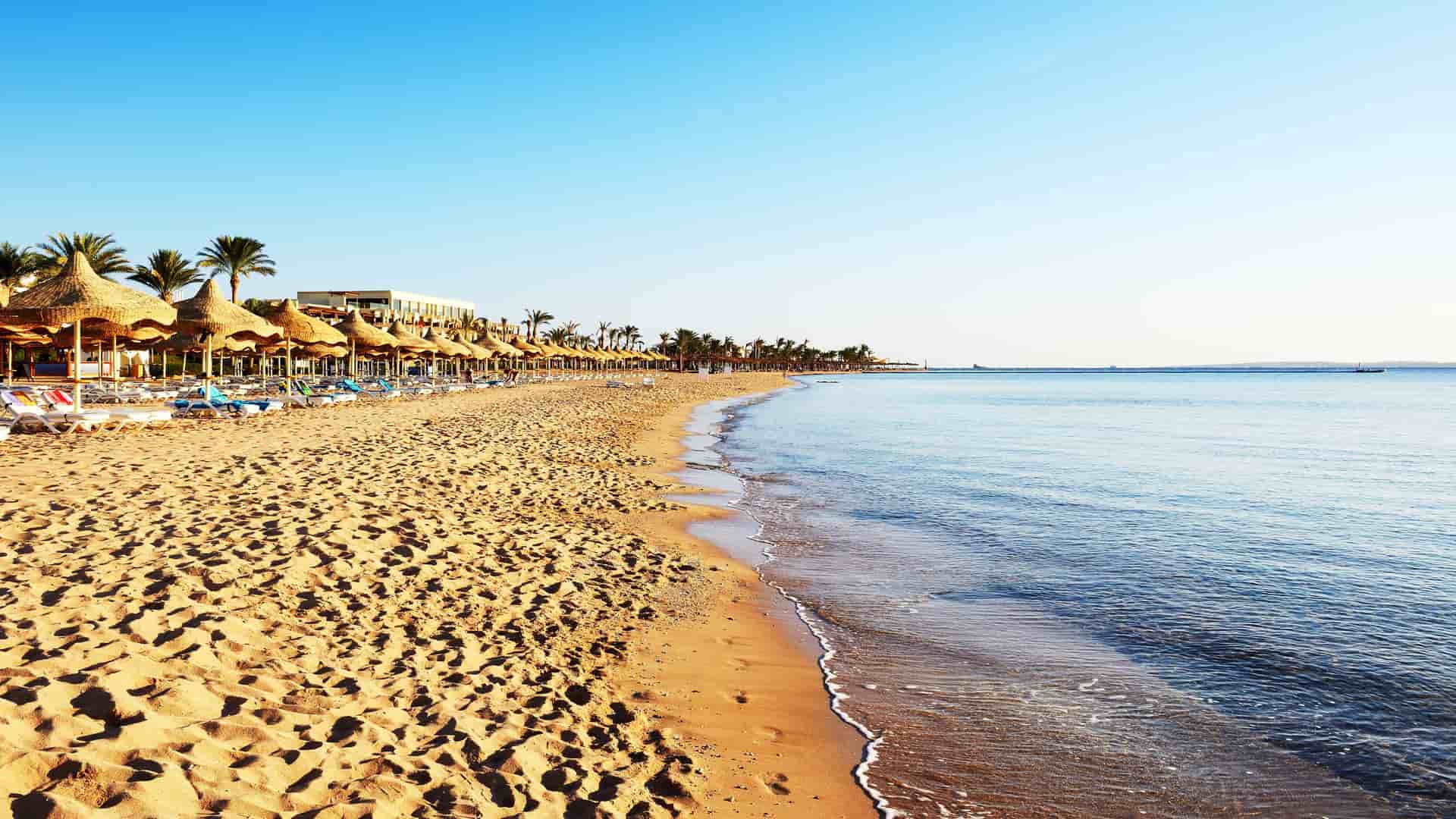 A serene shot of the sandy beach in Sharm El Sheikh, Egypt, with rows of thatched umbrellas and palm trees lining the shore next to the calm Red Sea.