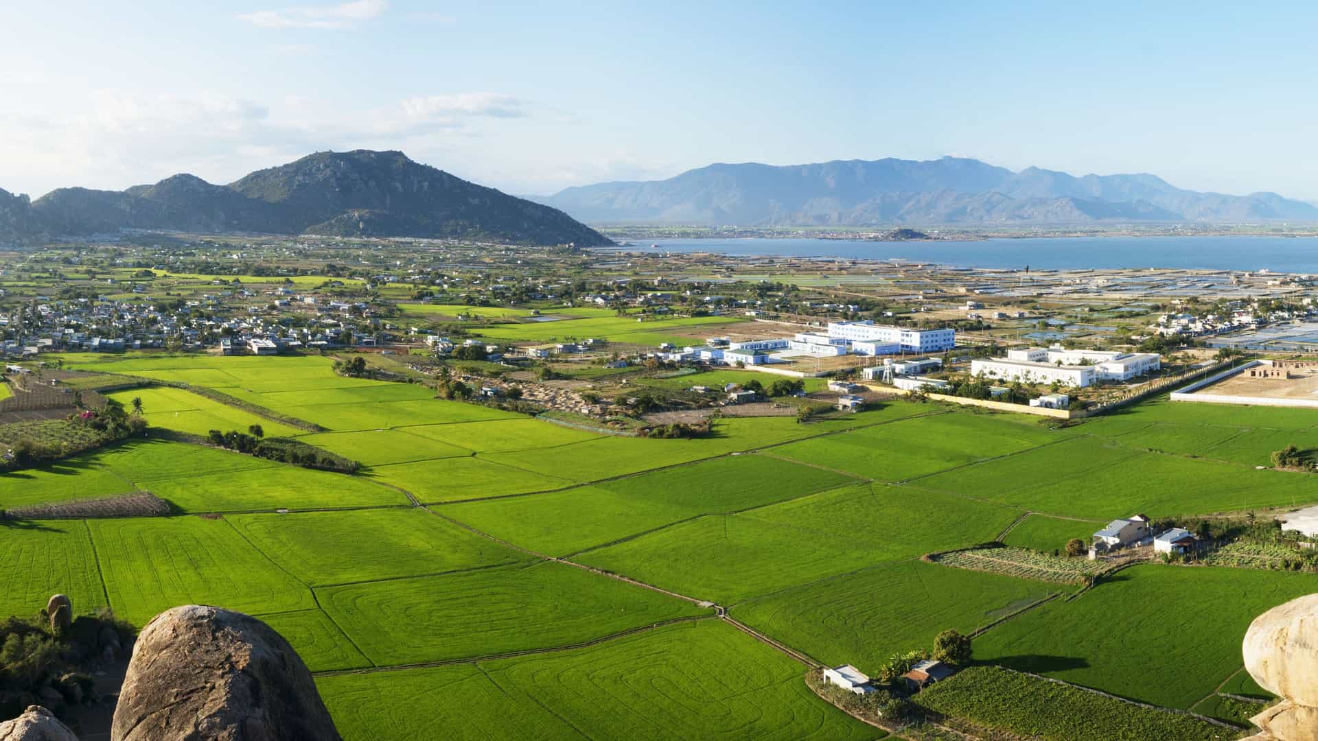 A scenic aerial view of lush green rice paddies and a local village in Tan Chau, Vietnam, with a distant lake and mountains under a clear sky.