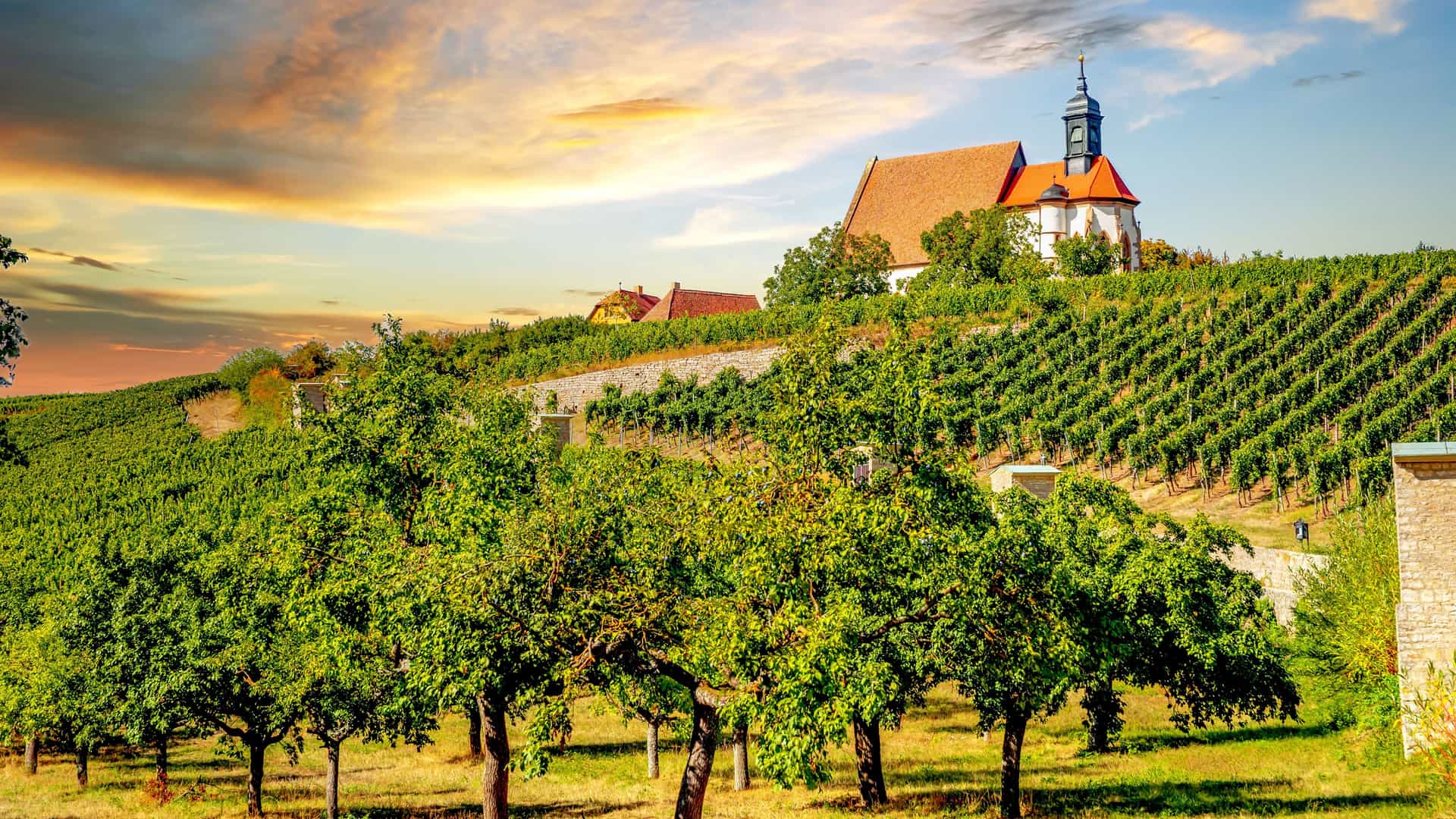 A tranquil landscape of the Maria im Weingarten pilgrimage church in Volkach, Germany, nestled among lush green vineyards and a field of fruit trees at sunset.