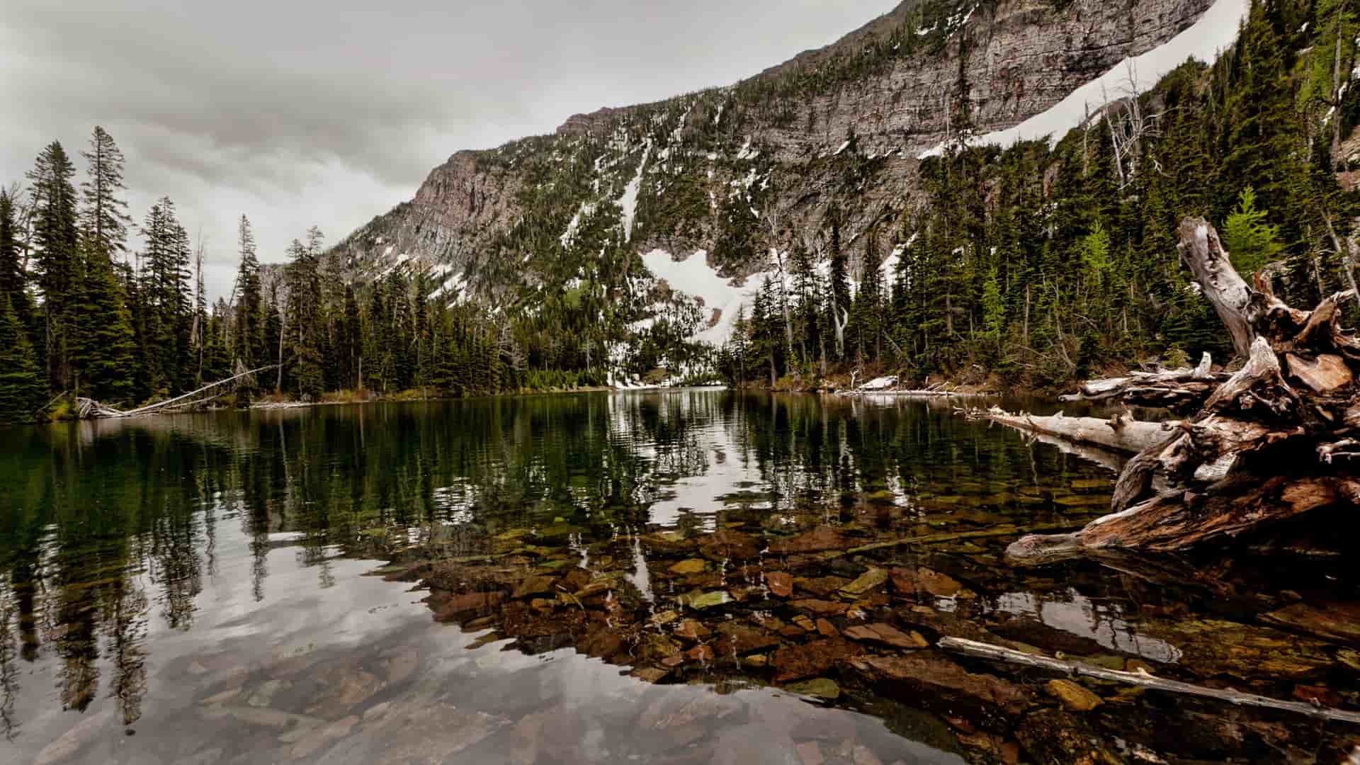 "A scenic view of a calm lake in Waterton Lakes National Park, Canada, with the glassy water reflecting a rocky, forested mountain. The shoreline is filled with fallen trees and a mix of evergreens and shrubs. "