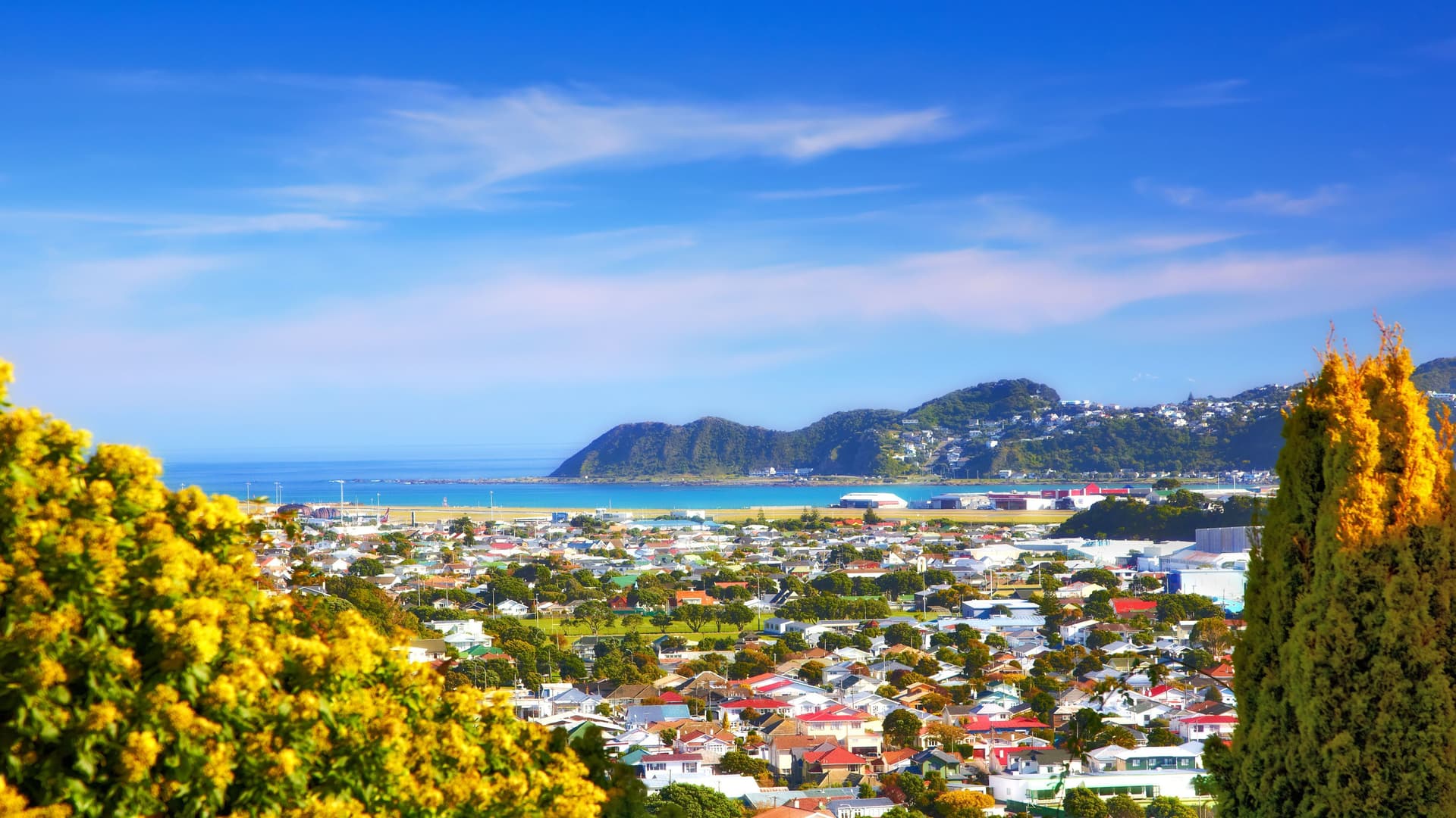 A panoramic view of the colorful city of Wellington, New Zealand, with the airport, harbor, and houses nestled in a valley with mountains and the sea in the distance.