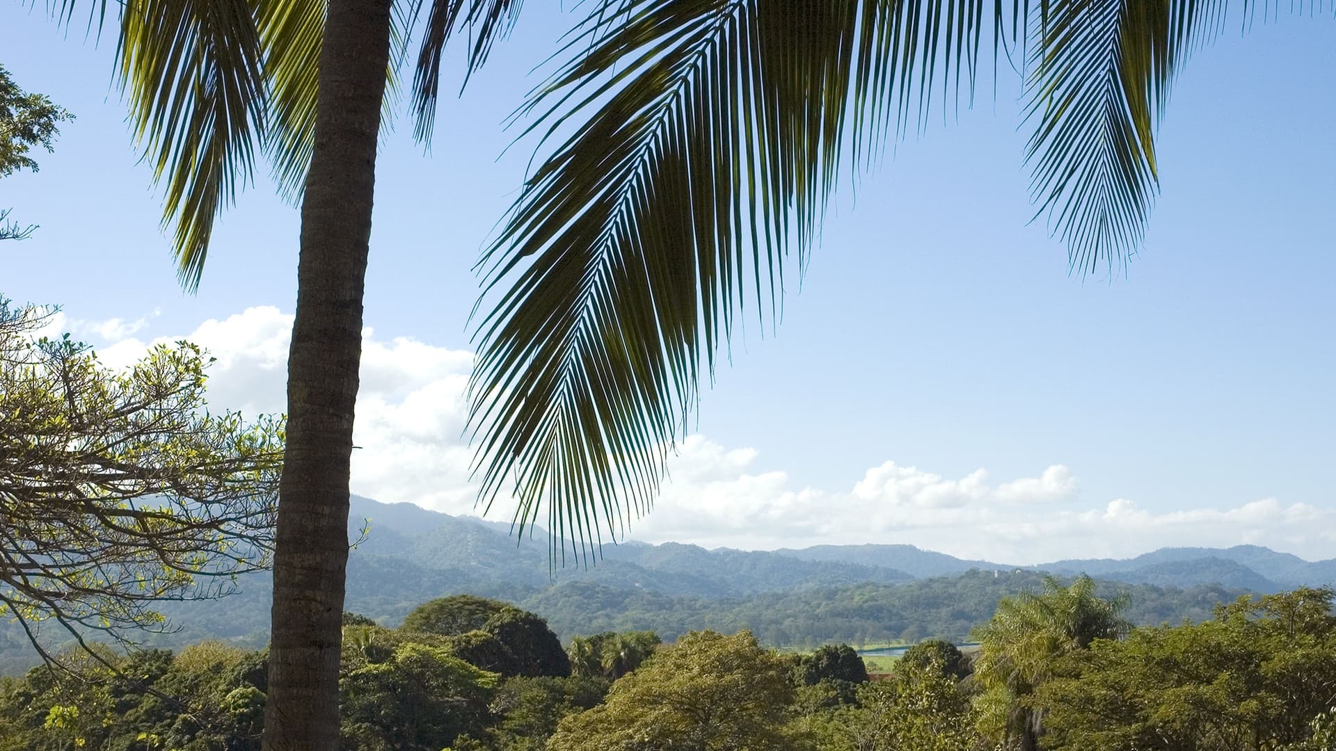 Puntarenas, Costa Rica tropical landscape with palm trees and mountains.