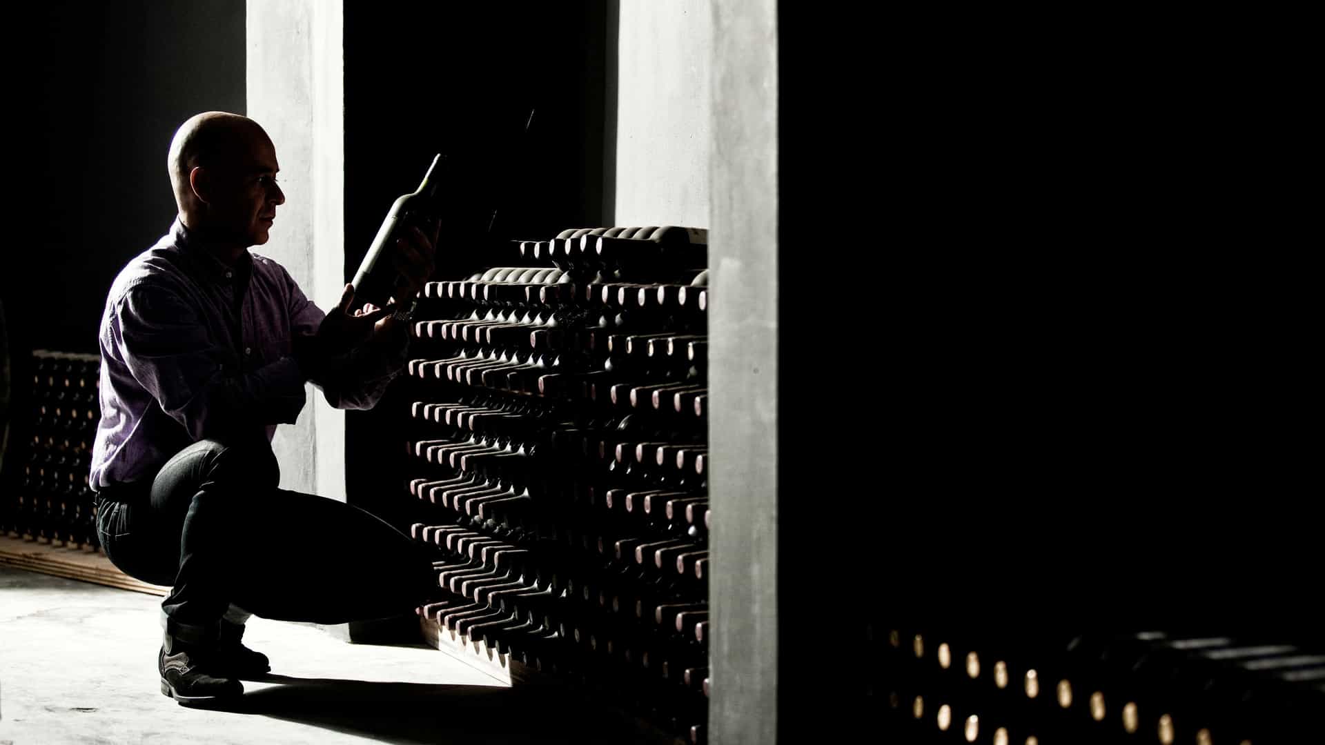 Man crouches in a dim wine cellar and studies a bottle beside racks of stacked wine bottles.