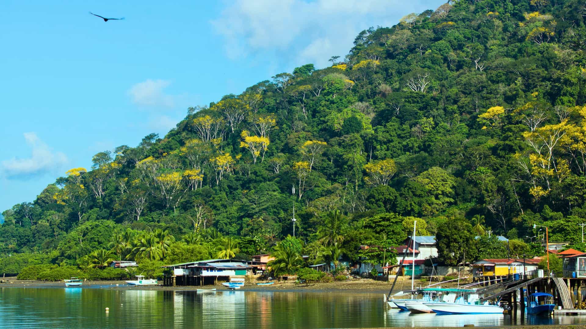 The vibrant rainforest of Golfito, Puntarenas, Costa Rica, a natural and adventurous port of call for a luxury Seabourn cruise in Central America.
