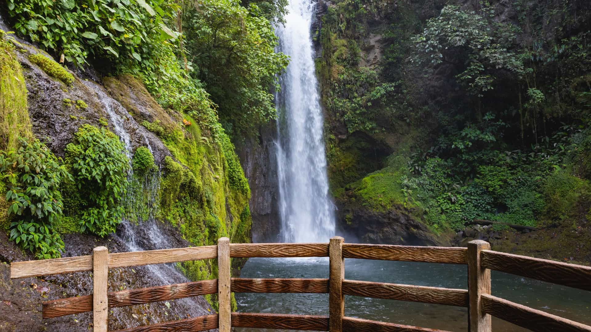 A scenic waterfall cascading into a pool within a lush green rainforest, viewed from a wooden overlook on a Tauck Costa Rica tour.