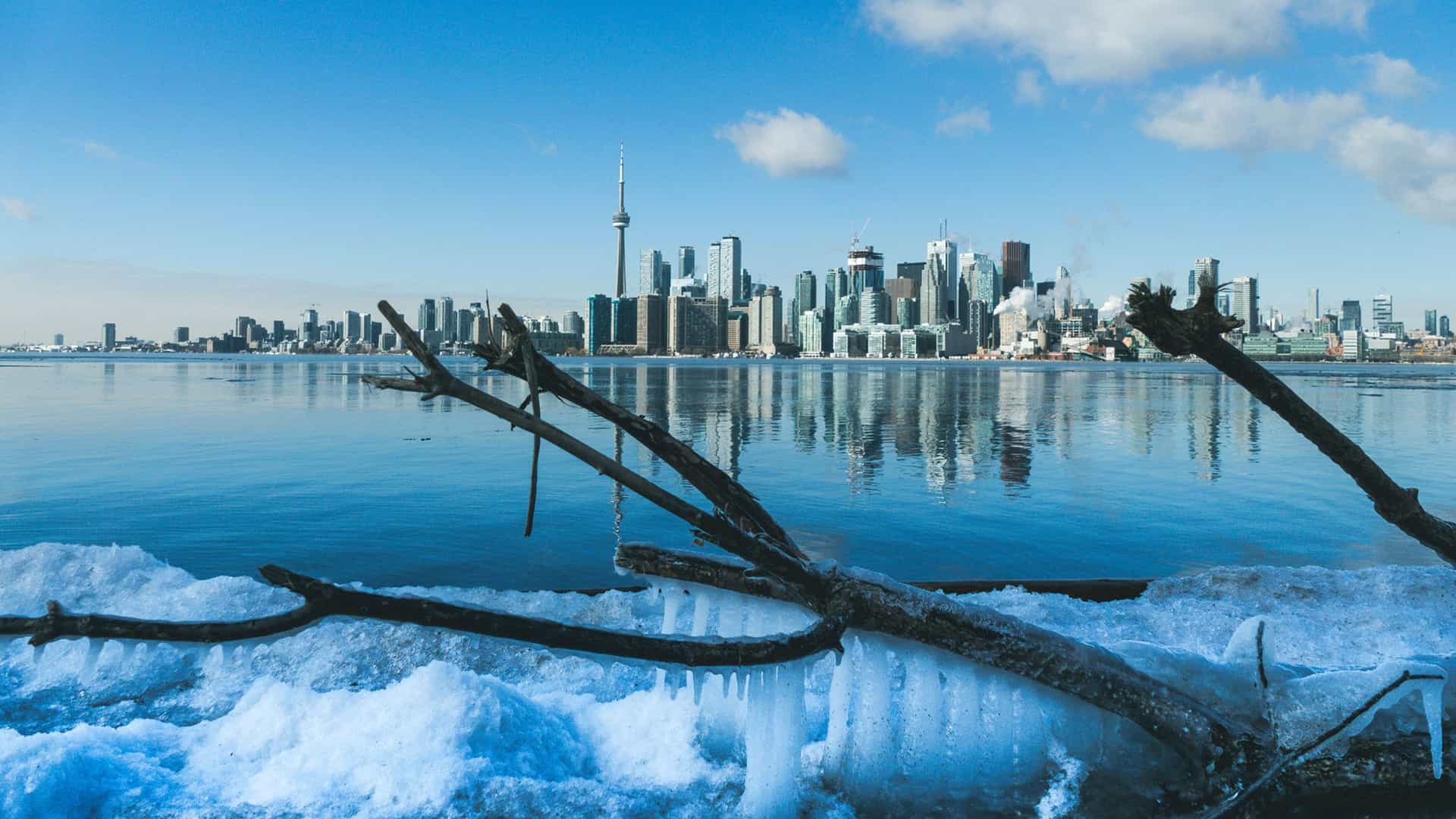 CN Tower dominating the Toronto skyline.