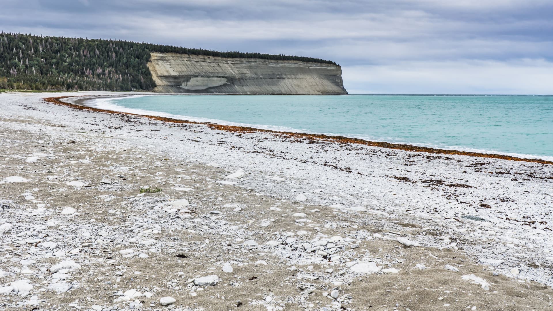 A rocky Baie de la Tour shoreline with pale stones, turquoise water, and a steep forest‑covered cliff beneath an overcast Quebec sky.