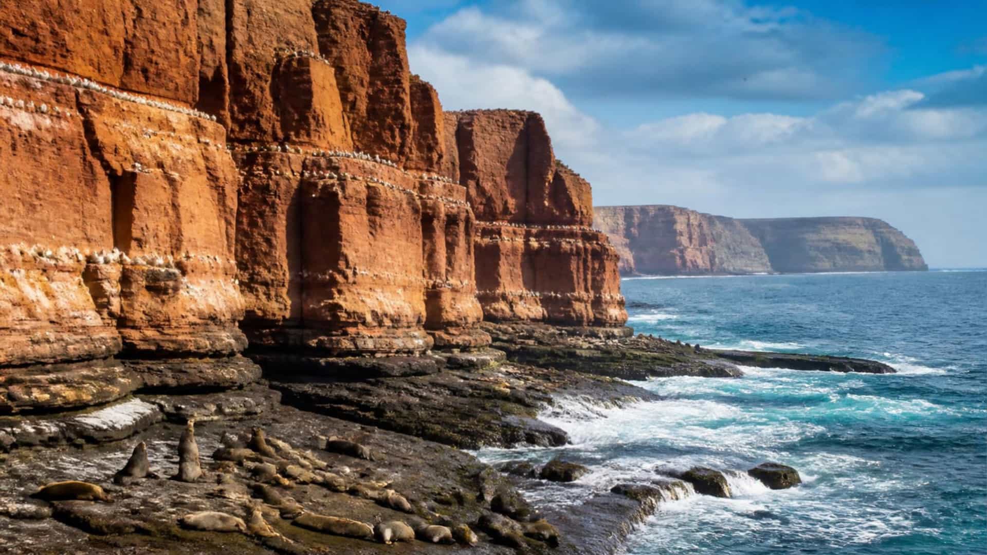Towering red sandstone cliffs of Helgoland rise from the North Sea, with seabird colonies and seals resting on the rocky shore, Germany.