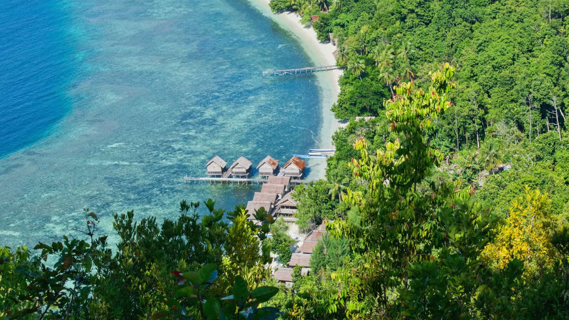 Overwater huts on Kri Island set above clear turquoise shallows, backed by dense tropical forest and deep blue Raja Ampat reef waters.