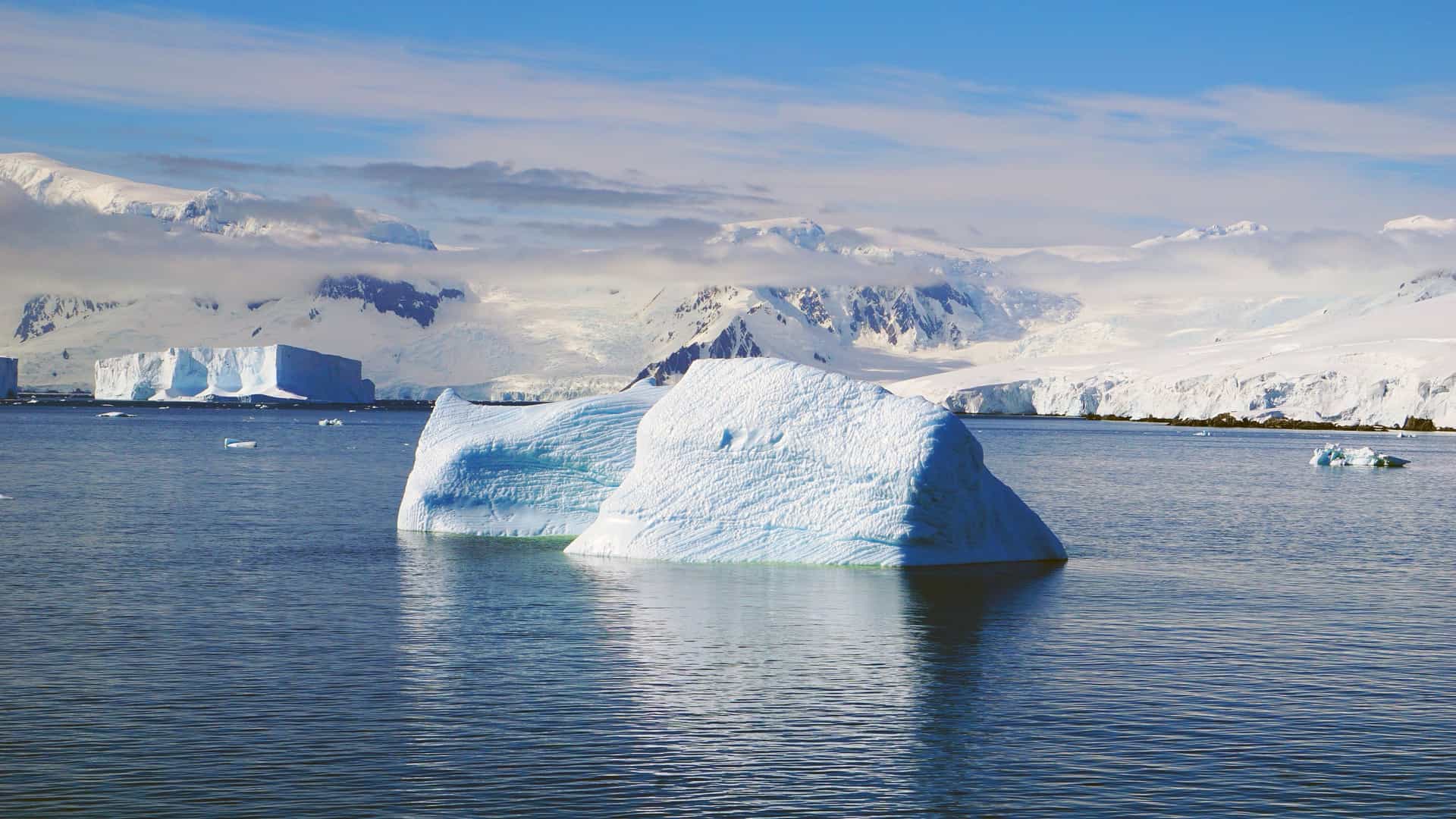 Icebergs drifting in calm Antarctic water near the Melchior Islands, with snow‑covered mountains and low clouds framing the bright blue‑white polar landscape.
