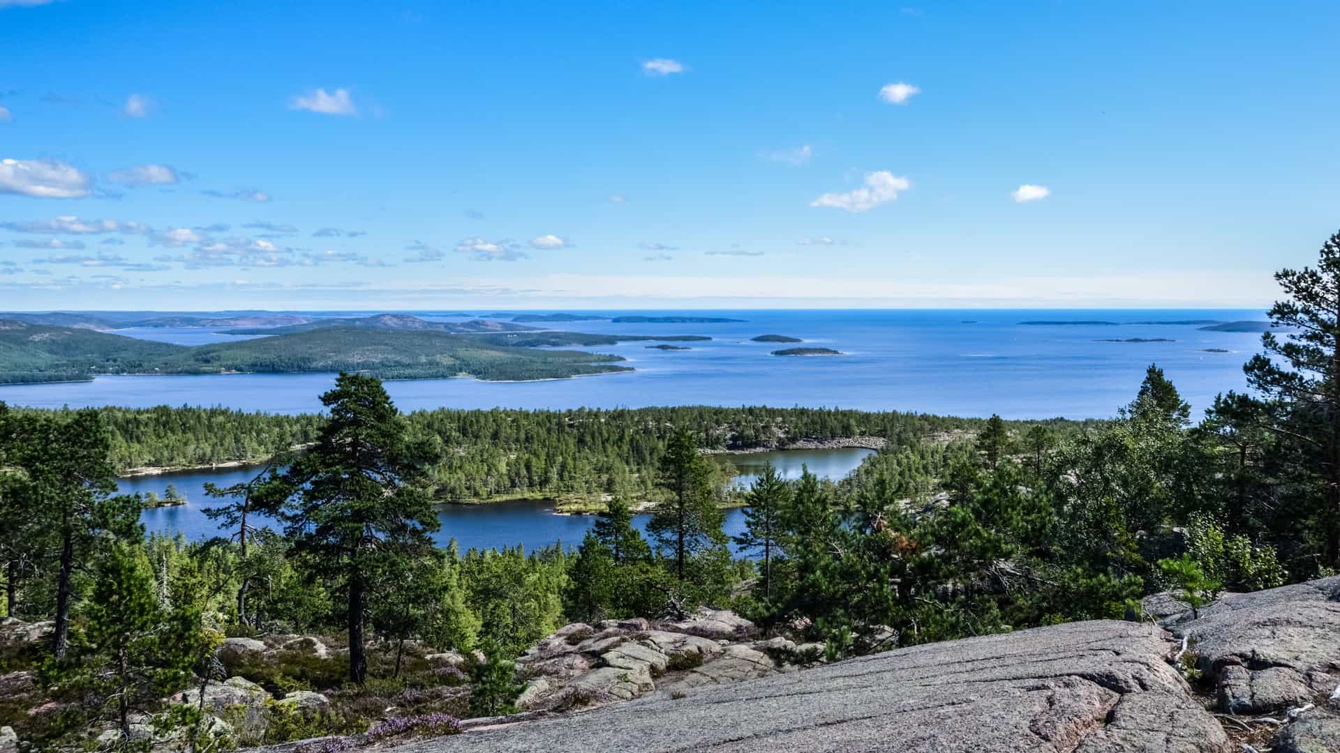 A High Coast view near Ornsköldsvik with pine trees and rocky slopes overlooking deep blue water, scattered forested islands, and a clear sky with light clouds.