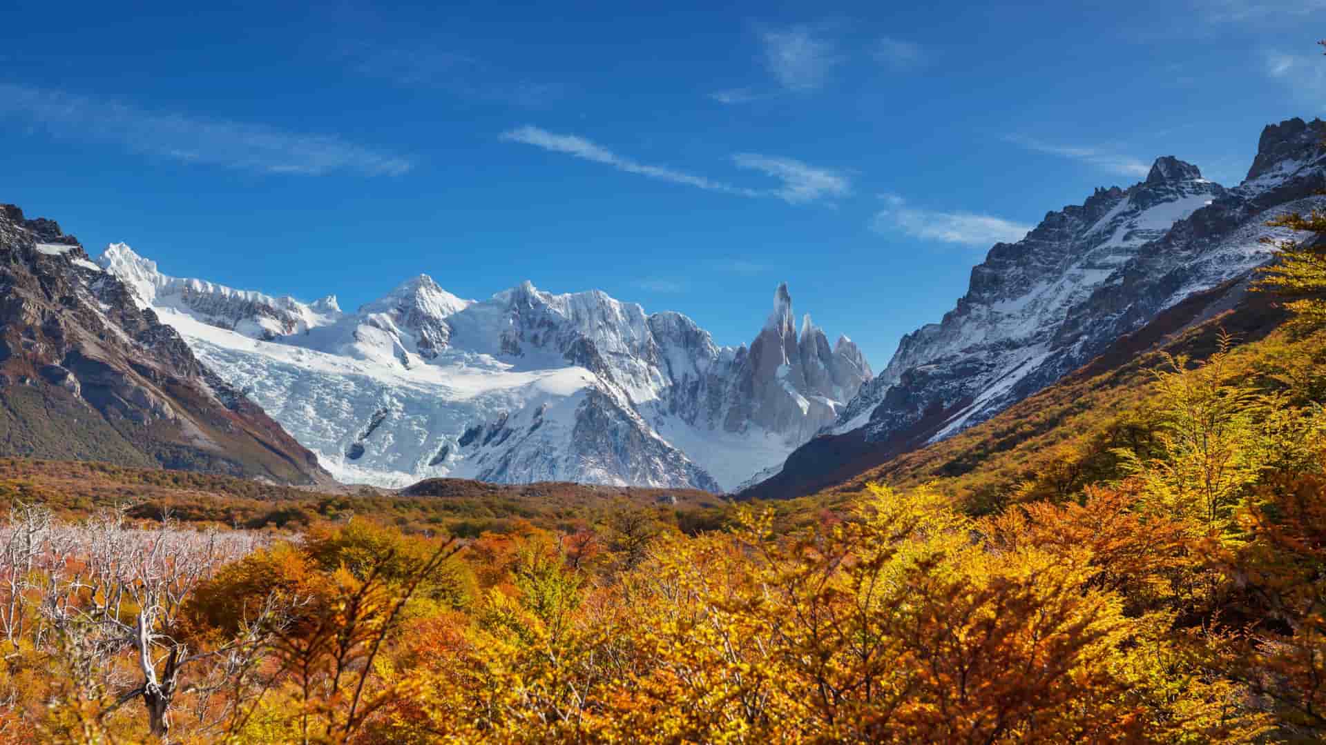Snow‑capped Patagonian peaks rising above rugged rock faces and a dense autumn forest glowing with red, orange, and yellow foliage under a clear blue sky.