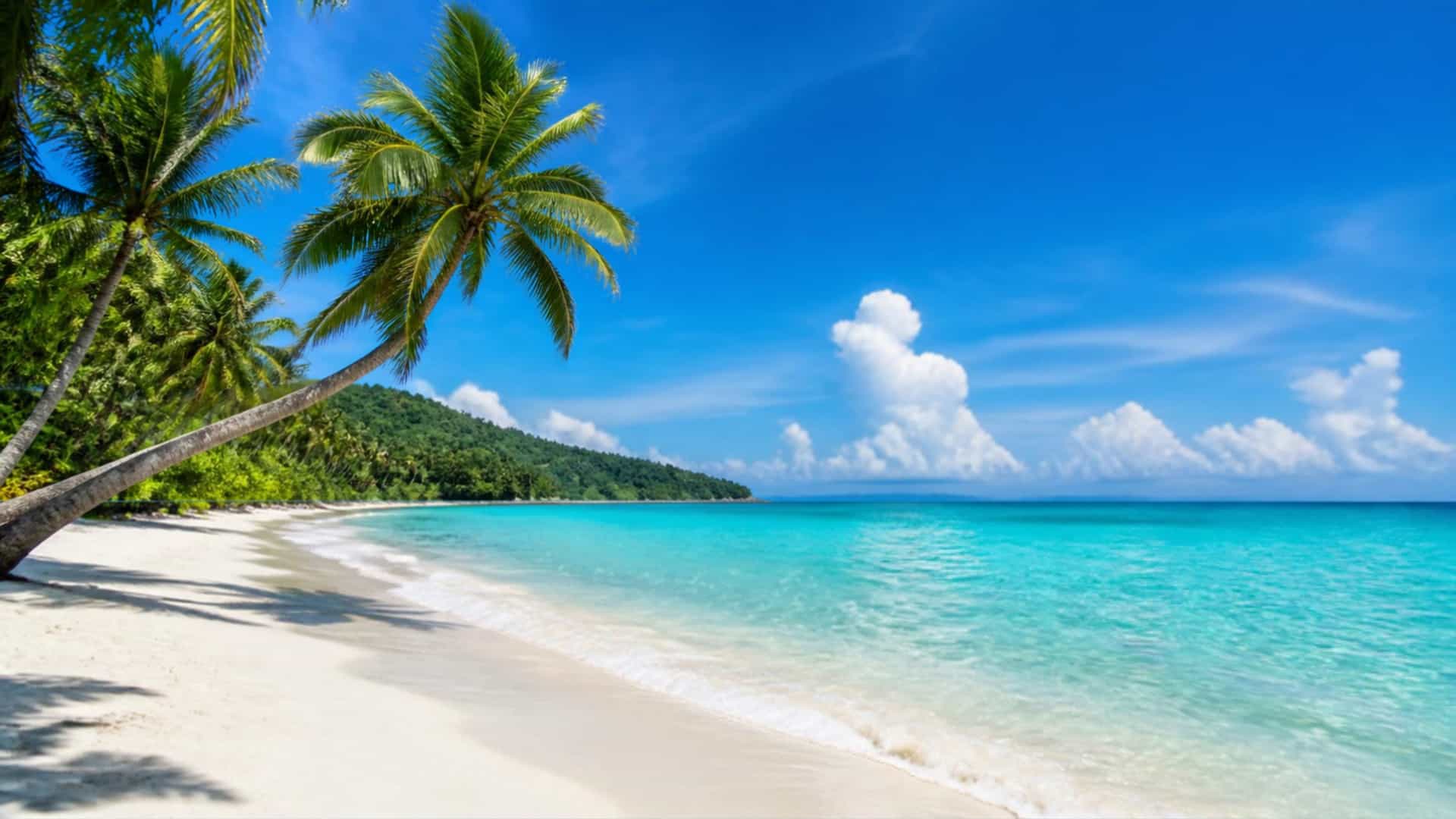 A tropical beach on Phu Quoc Island, Vietnam, with palm trees, white sand and turquoise sea.