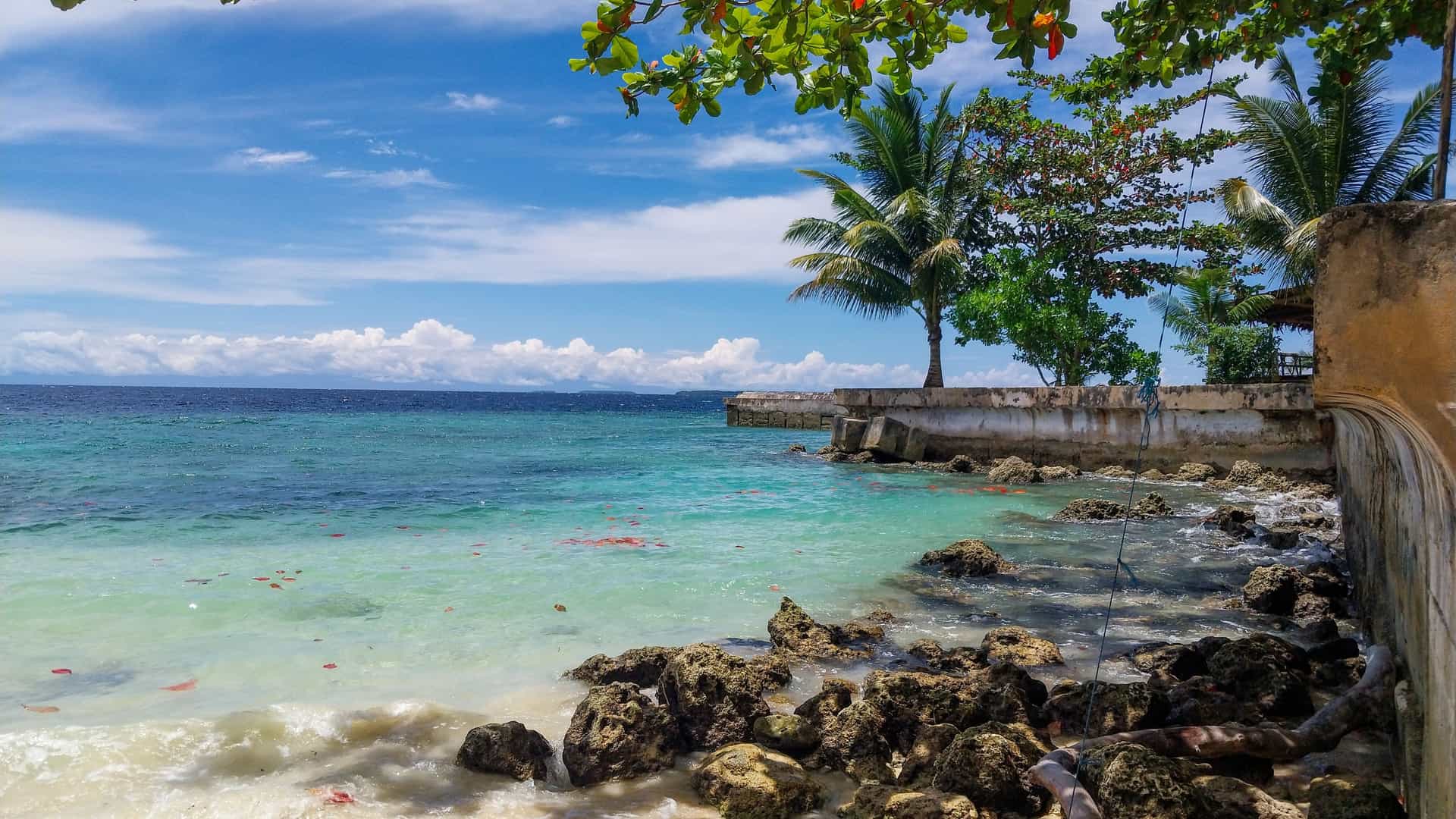 A tropical Pulau Biak shoreline with turquoise water, rocky shallows, palm trees, and a concrete seawall extending into the bright blue sea under scattered clouds.