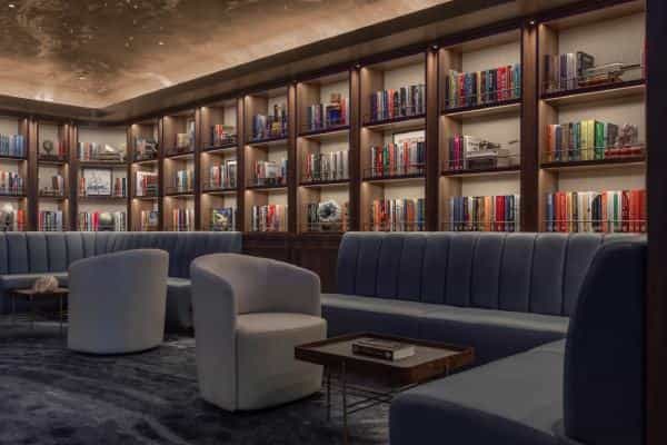 Silver Ray - Library